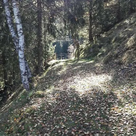 Apartamento Haus Alpenquell
